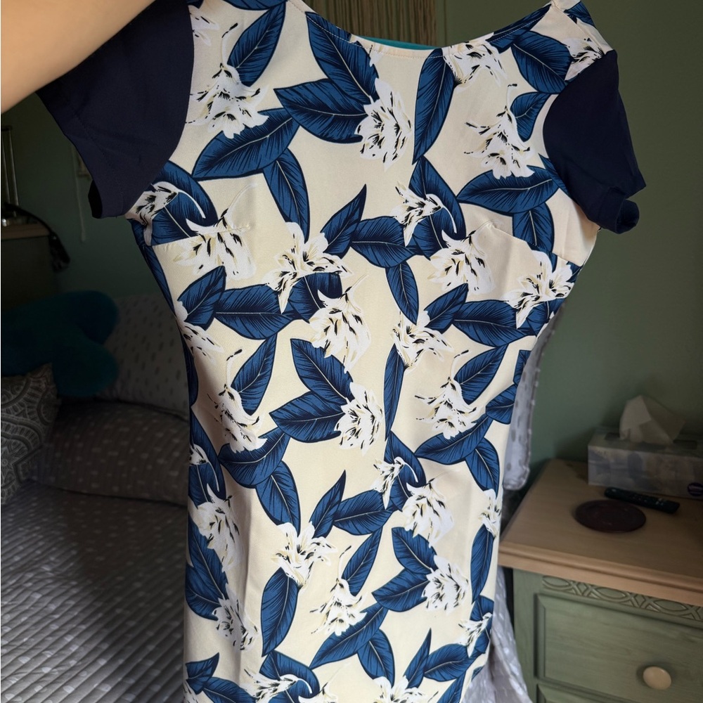 Tobi Cream and Blue Floral Dress